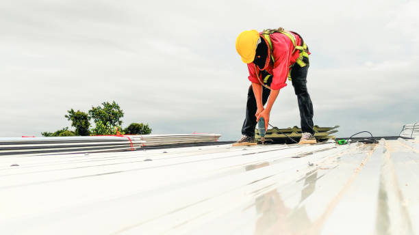 Best 4 Ply Roofing  in Bay City, TX