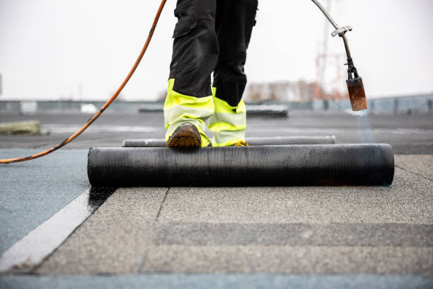 Best Roof Moss and Algae Removal  in Bay City, TX